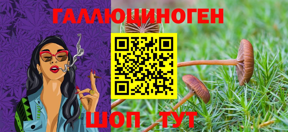 Галлюциногенные грибы ЛСД  Вход с VPN  Псилоцибиновые грибы MAGIC MUSHROOMS  Железногорск 